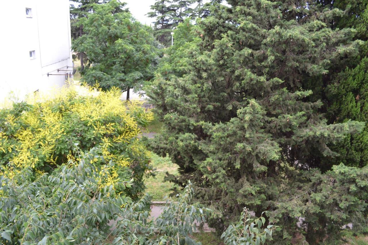 Good Vibes Apartment Zadar Zewnętrze zdjęcie